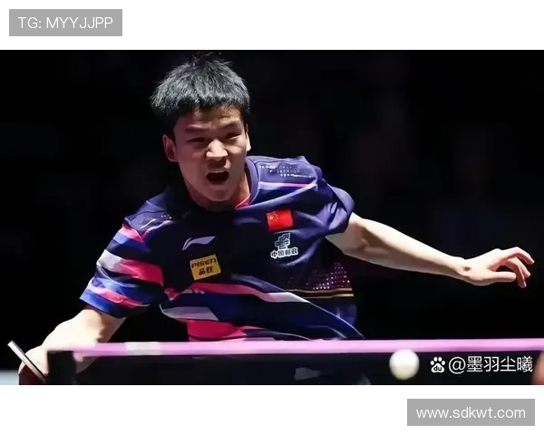 向鹏勇夺男队选拔赛 世乒赛获资格